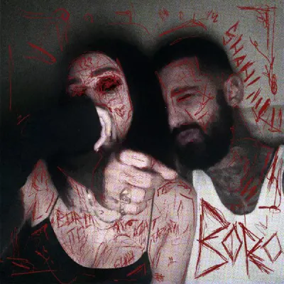 دانلود آهنگ سجاد شاهی برو